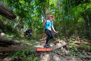 BIB: 
                            <button type="button" onclick="openModal(19389163)" class="btn btn-primary btn-sm float-right btn-popup" data-toggle="modal" data-target=".modal-high-quality">
                        <i class="fas fa-shopping-cart"></i> Add to Cart
                    </button>
                                            <button type="button" onclick="isThisMe(19389163, true)" class="btn btn-success btn-sm float-right btn-popup btn-isme hidden" data-toggle="tooltip" data-placement="bottom" title="นี่คือรูปของคุณใช่ไหม คลิกที่นี่เพื่อเอาเข้าอัลบั้ม">
                        <i class="fas fa-plus"></i> Add to album
                    </button>
                    <button type="button" onclick="isThisMe(19389163, false)" class="btn btn-warning btn-sm float-right btn-popup btn-isnotme hidden">
                        <i class="fas fa-ban"></i> Remove from album
                    </button>